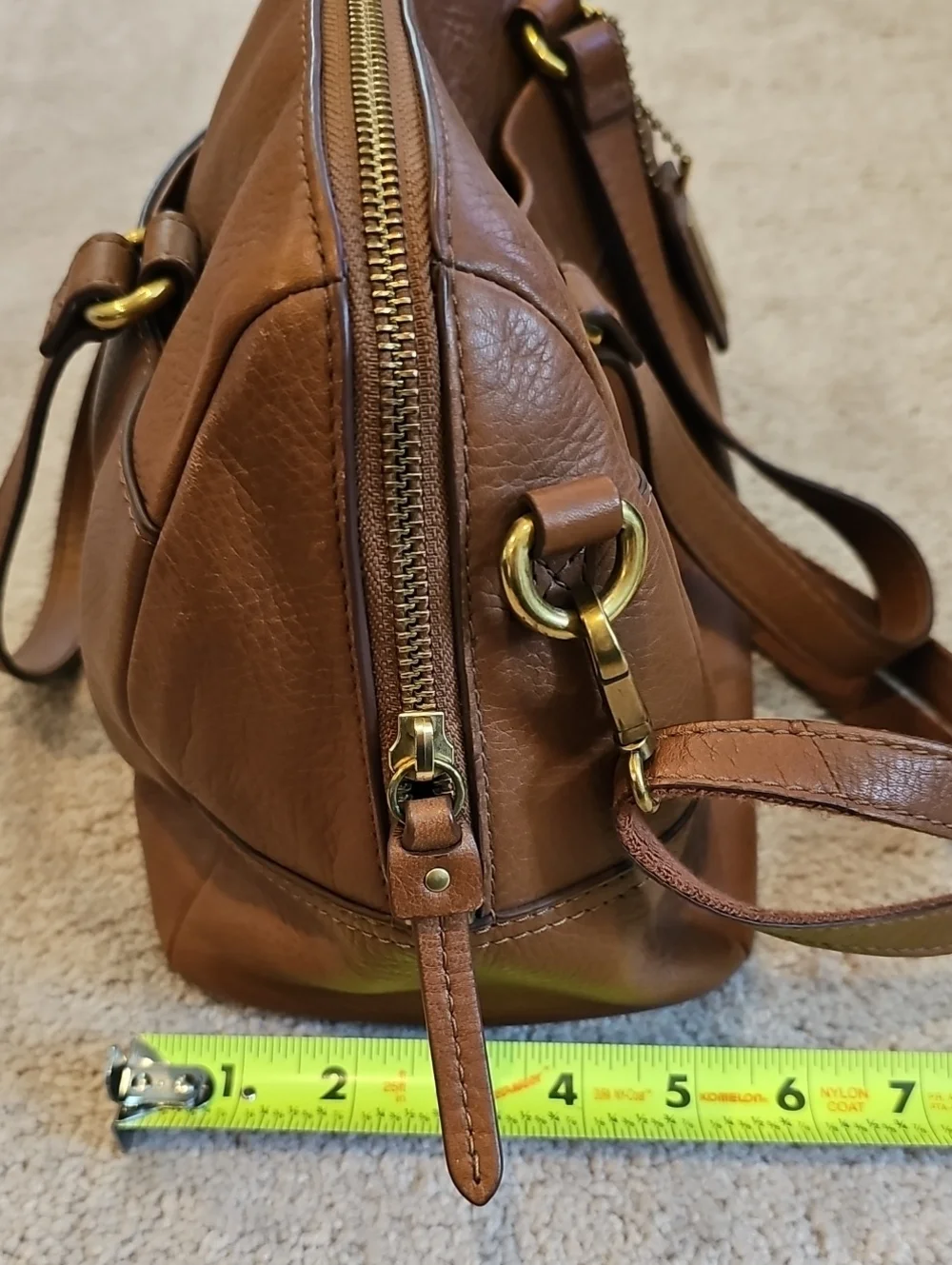Fossil medium brown